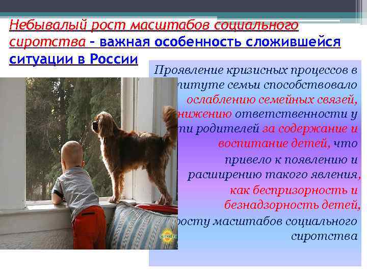 Небывалый рост масштабов социального сиротства - важная особенность сложившейся ситуации в России Проявление кризисных