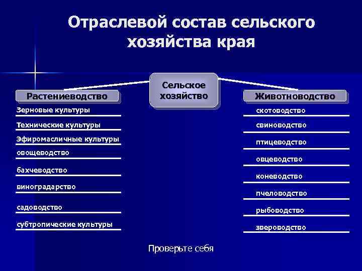 Отраслевой состав сельского хозяйства края Растениеводство Сельское хозяйство Животноводство Зерновые культуры скотоводство Технические культуры