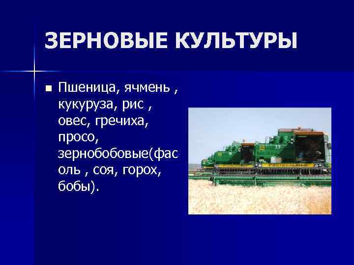 ЗЕРНОВЫЕ КУЛЬТУРЫ n Пшеница, ячмень , кукуруза, рис , овес, гречиха, просо, зернобобовые(фас оль