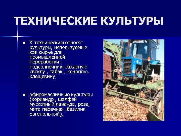 ТЕХНИЧЕСКИЕ КУЛЬТУРЫ n К техническим относят культуры, используемые как сырье для промышленной переработки :