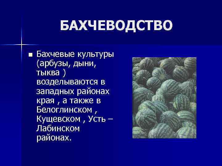 БАХЧЕВОДСТВО n Бахчевые культуры (арбузы, дыни, тыква ) возделываются в западных районах края ,