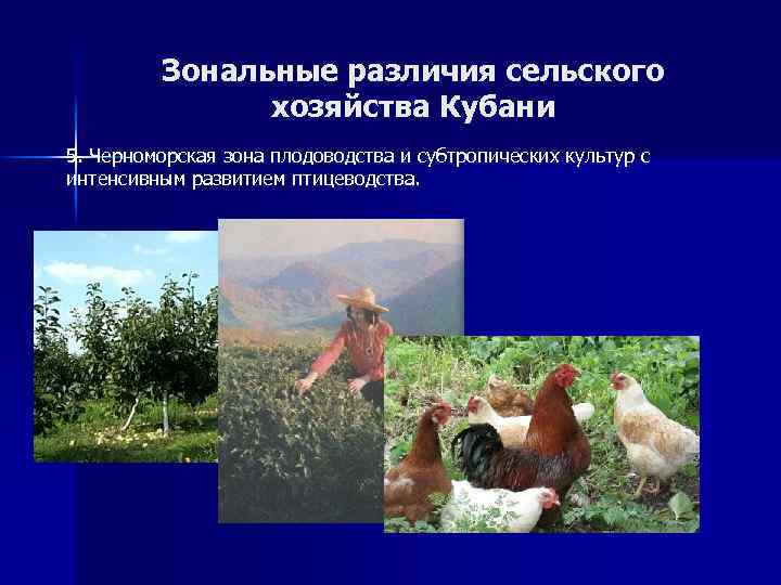 Зональные различия сельского хозяйства Кубани 5. Черноморская зона плодоводства и субтропических культур с интенсивным