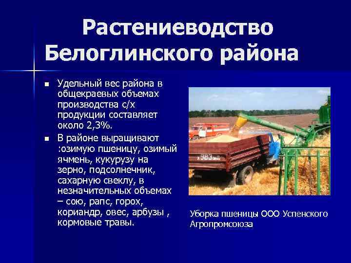 Растениеводство Белоглинского района n n Удельный вес района в общекраевых объемах производства с/х продукции