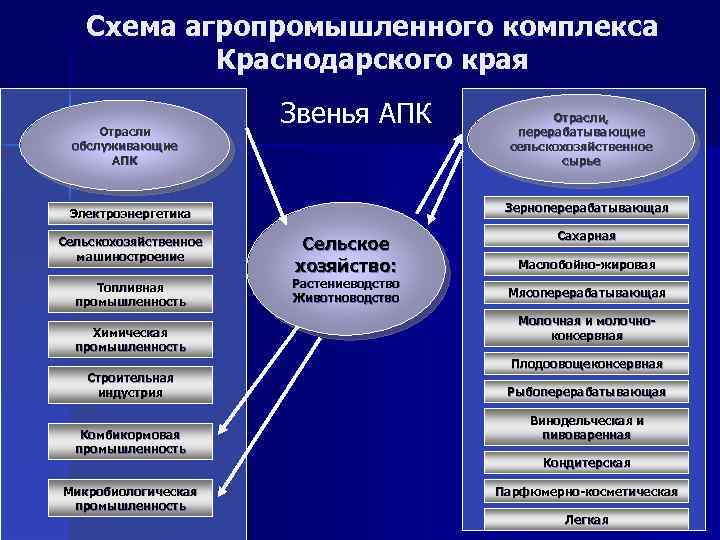 Схема агропромышленного комплекса Краснодарского края Отрасли обслуживающие АПК Звенья АПК Зерноперерабатывающая Электроэнергетика Сельскохозяйственное машиностроение