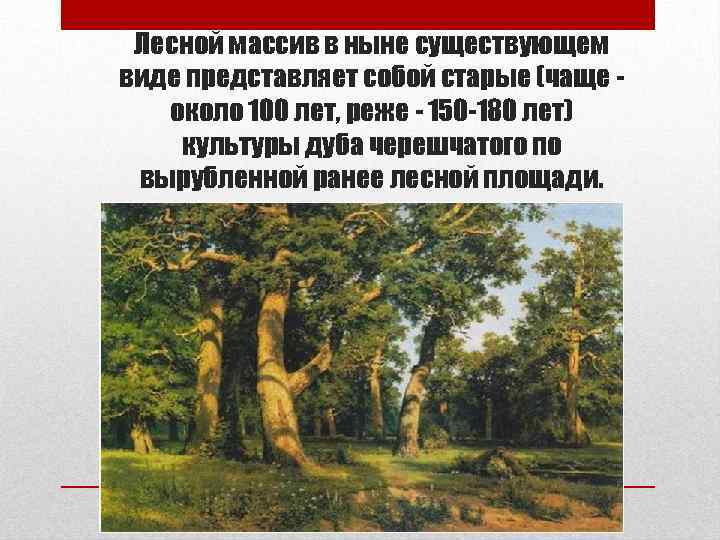 Лесной массив в ныне существующем виде представляет собой старые (чаще около 100 лет, реже