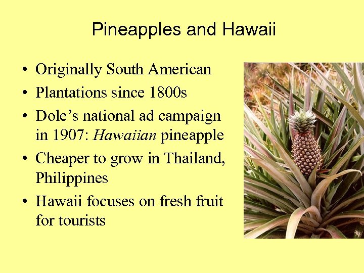 Pineapples and Hawaii • Originally South American • Plantations since 1800 s • Dole’s