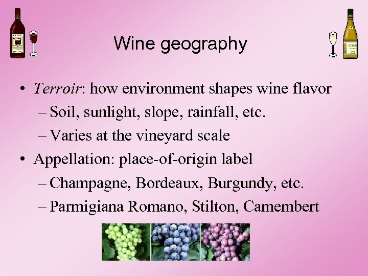 Wine geography • Terroir: how environment shapes wine flavor – Soil, sunlight, slope, rainfall,