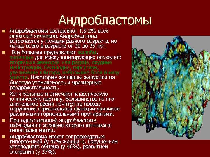 Андробластомы Андробластомы составляют 1, 5 2% всех опухолей яичников. Андробластома встречается у женщин разного