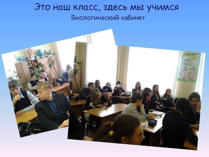 Это наш класс, здесь мы учимся Биологический кабинет 