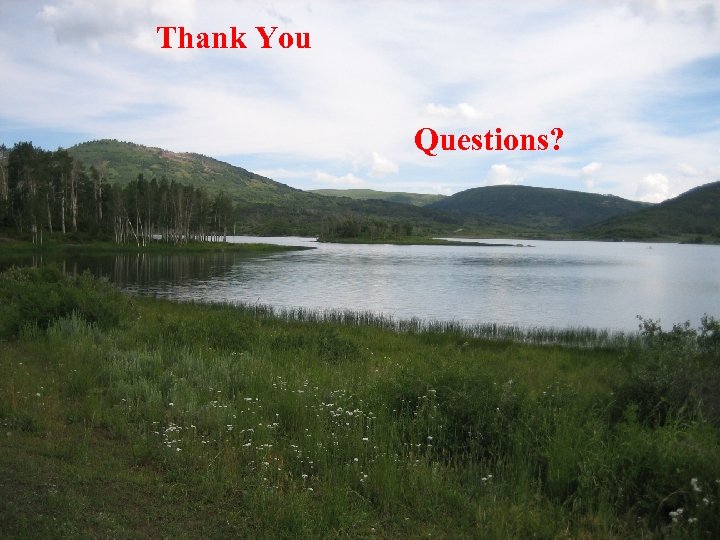 Thank You Questions? 
