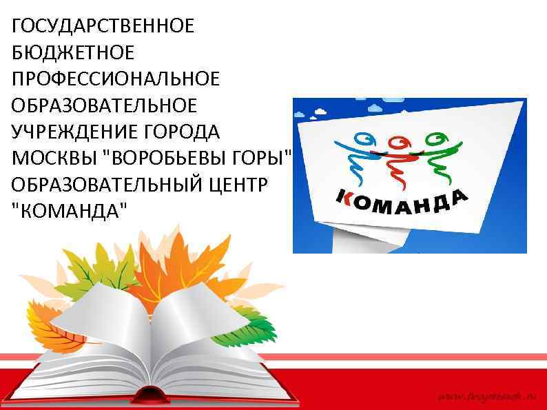 ГОСУДАРСТВЕННОЕ БЮДЖЕТНОЕ ПРОФЕССИОНАЛЬНОЕ ОБРАЗОВАТЕЛЬНОЕ УЧРЕЖДЕНИЕ ГОРОДА МОСКВЫ "ВОРОБЬЕВЫ ГОРЫ" ОБРАЗОВАТЕЛЬНЫЙ ЦЕНТР "КОМАНДА" 