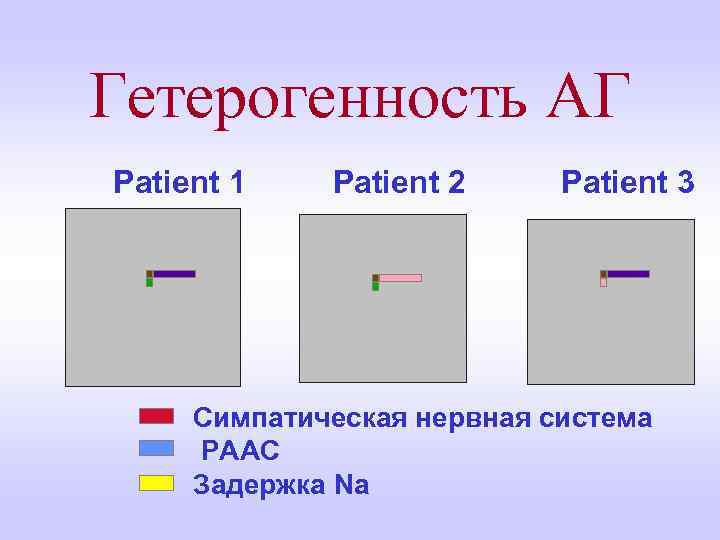 Гетерогенность АГ Patient 1 Patient 2 Patient 3 Симпатическая нервная система РААС Задержка Na