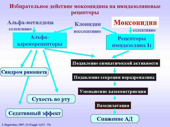 Избирательное действие моксонидина на имидазолиновые рецепторы Альфа-метилдопа селективно Альфаадренорецепторы Клонидин Моксонидин неселективно Рецепторы имидазолина