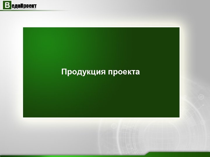 Продукция проекта 