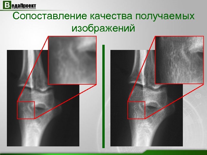 Ооо веда проект