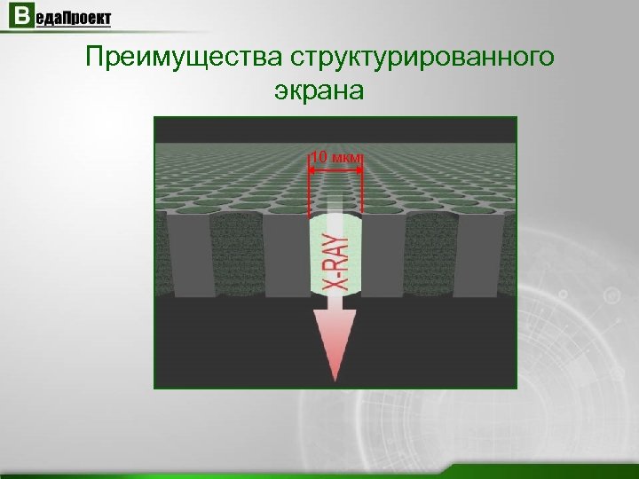 Ооо веда проект