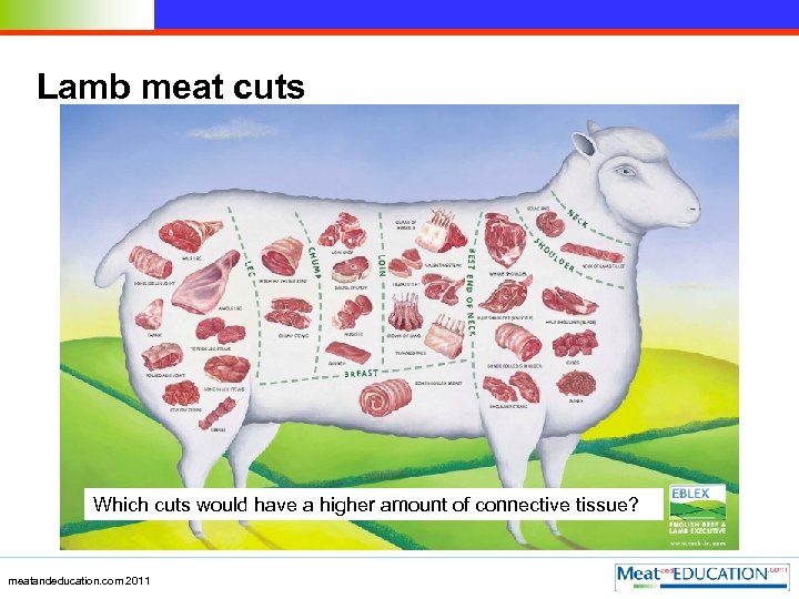 Lamb meat cuts Which cuts would have a higher amount of connective tissue? meatandeducation.