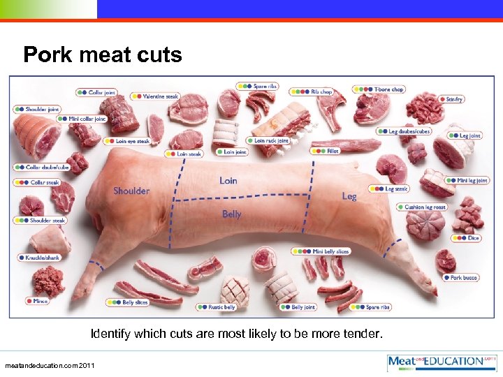 Pork meat cuts Identify which cuts are most likely to be more tender. meatandeducation.