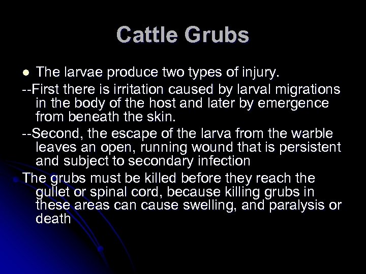 Cattle Grubs The larvae produce two types of injury. --First there is irritation caused