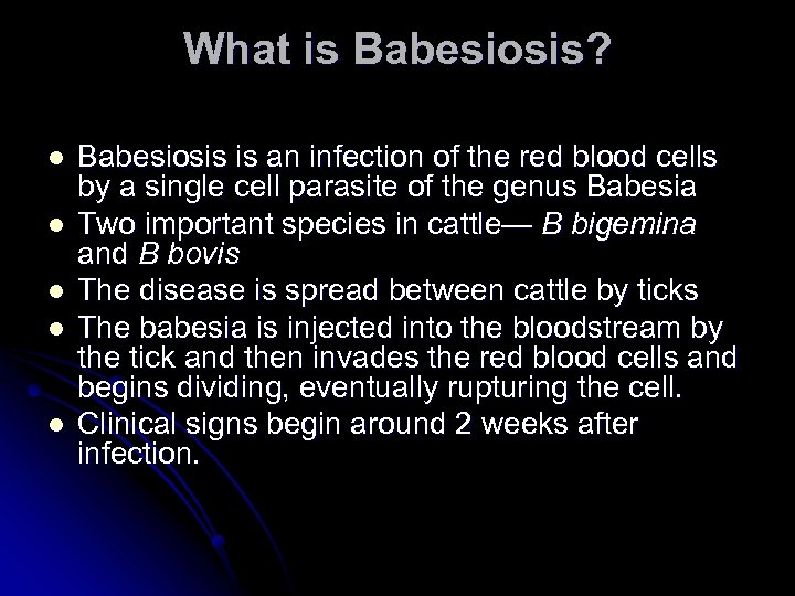 What is Babesiosis? l l l Babesiosis is an infection of the red blood