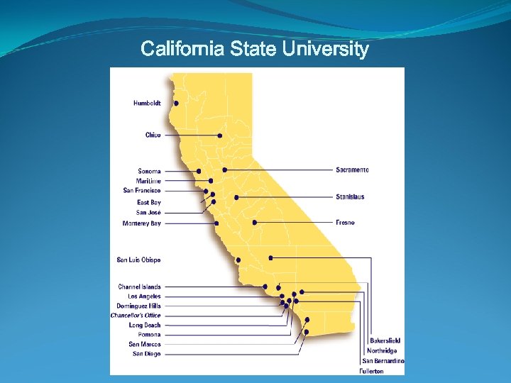 California State University 