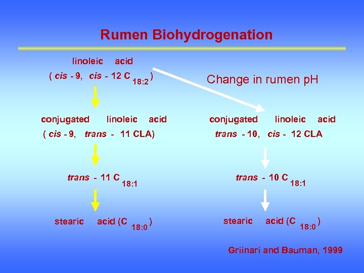 Rumen Biohydrogenation linoleic acid ( cis 9, cis 12 C conjugated 18: 2 )