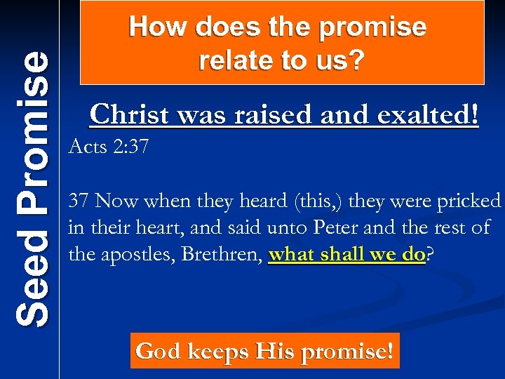 Seed Promise How does the promise relate to us? Christ was raised and exalted!