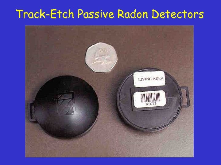 Track-Etch Passive Radon Detectors 