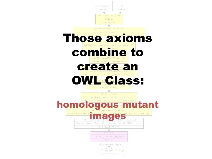 Those axioms combine to create an OWL Class: homologous mutant images 