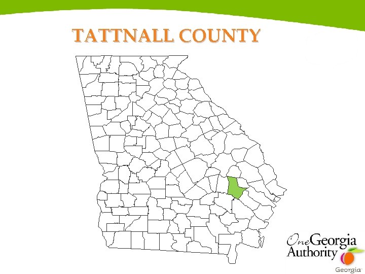 TATTNALL COUNTY 