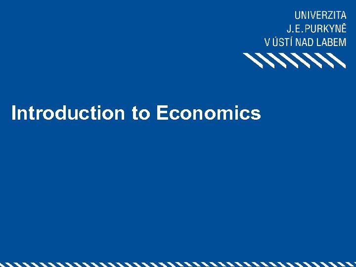 Introduction to Economics 