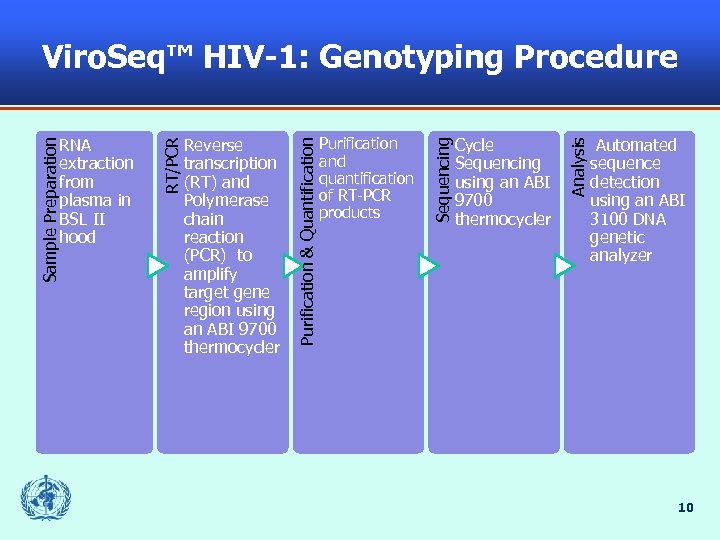 Cycle Sequencing using an ABI 9700 thermocycler Analysis Purification and quantification of RT-PCR products