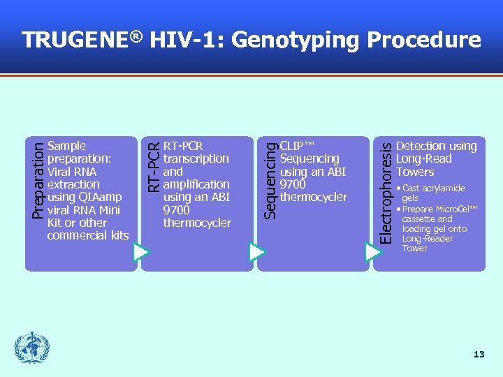 CLIP™ Sequencing using an ABI 9700 thermocycler Electrophoresis RT-PCR transcription and amplification using an