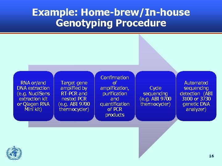 Example: Home-brew/In-house Genotyping Procedure RNA or/and DNA extraction (e. g. Nucli. Sens extraction kit