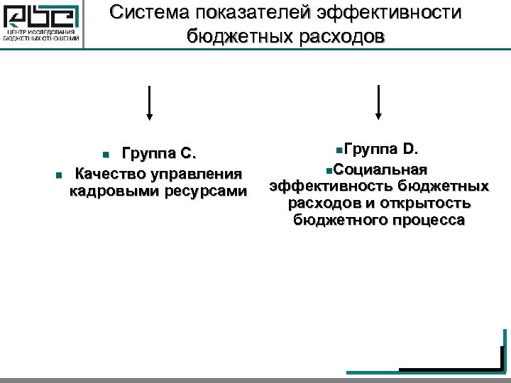 Система показателей эффективности бюджетных расходов Группа С. Качество управления кадровыми ресурсами n n Группа