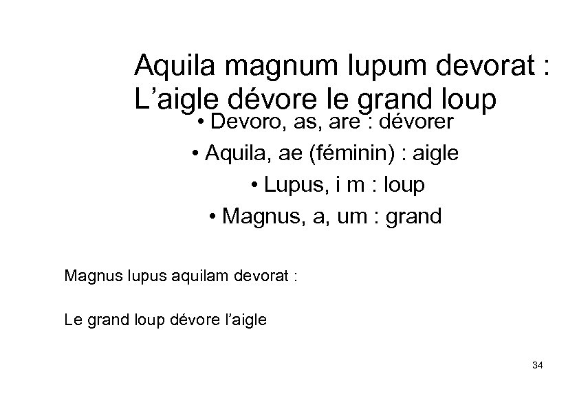 Aquila magnum lupum devorat : L’aigle dévore le grand loup • Devoro, as, are