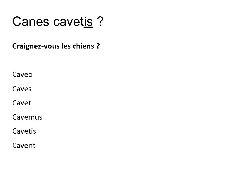 Canes cavetis ? Craignez-vous les chiens ? Caveo Caves Cavet Cavemus Cavetis Cavent 