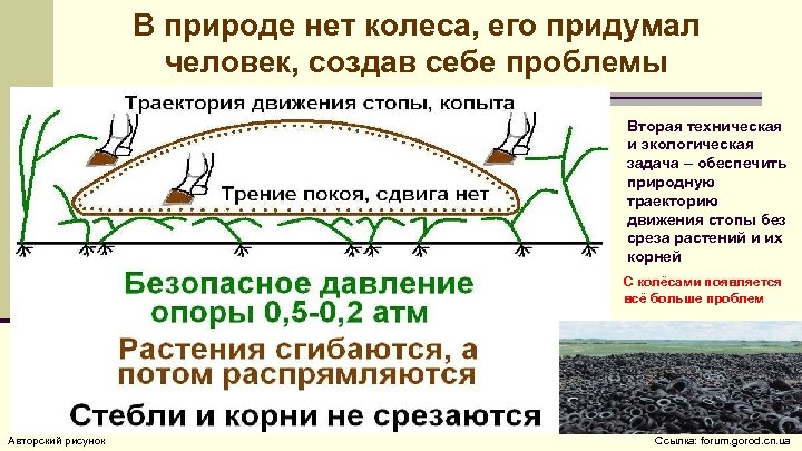 В природе нет колеса, его придумал человек, создав себе проблемы Вторая техническая и экологическая