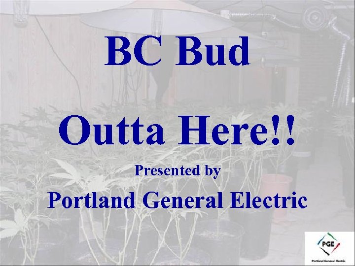 BC Bud Outta Here!! Presented by Portland General Electric 
