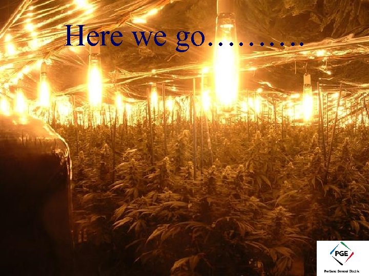 Here we go………. 