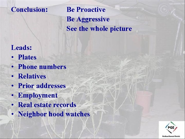 Conclusion: Be Proactive Be Aggressive See the whole picture Leads: • Plates • Phone