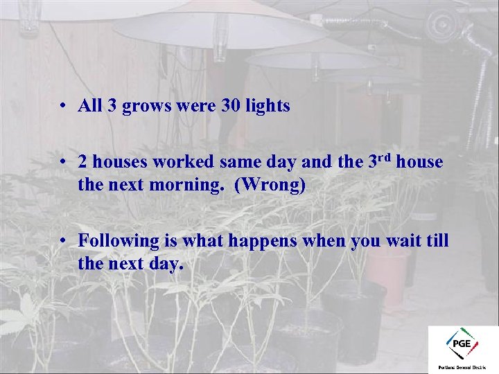  • All 3 grows were 30 lights • 2 houses worked same day