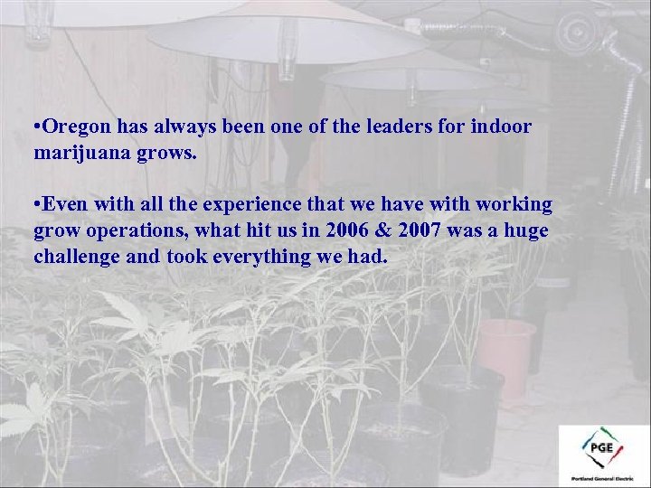  • Oregon has always been one of the leaders for indoor marijuana grows.