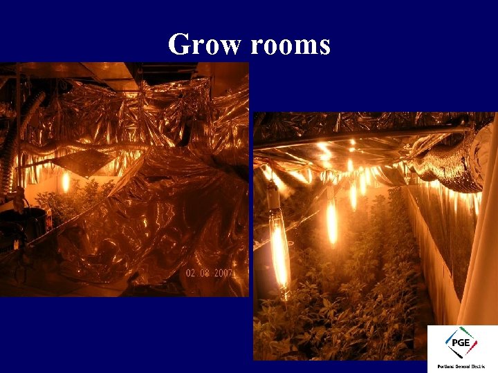Grow rooms 