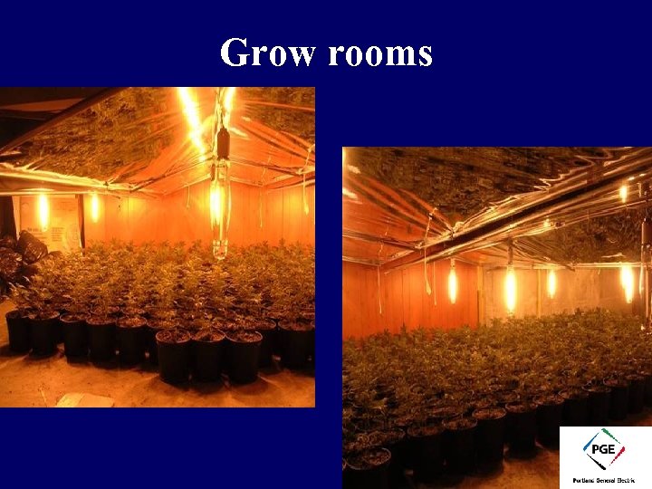 Grow rooms 