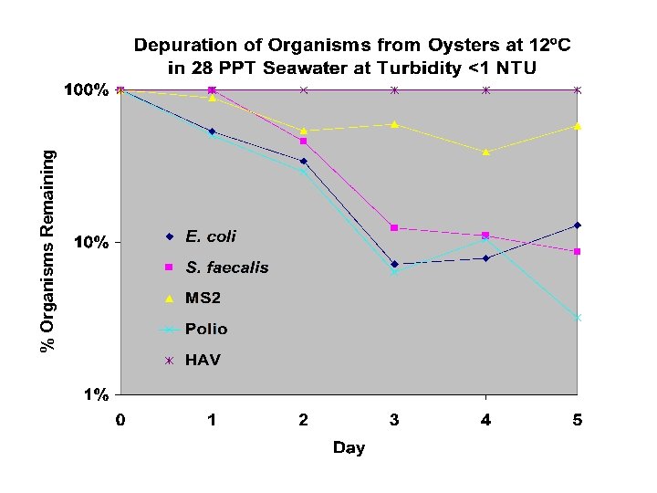 % Organisms Remaining 