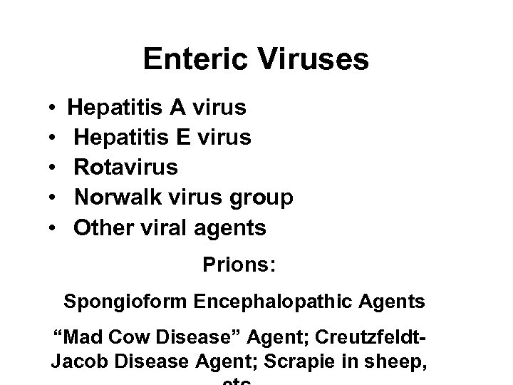 Enteric Viruses • • • Hepatitis A virus Hepatitis E virus Rotavirus Norwalk virus
