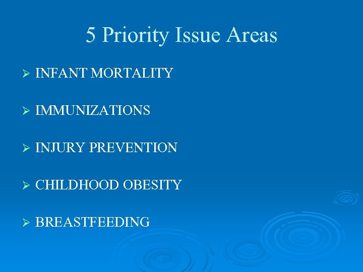 5 Priority Issue Areas Ø INFANT MORTALITY Ø IMMUNIZATIONS Ø INJURY PREVENTION Ø CHILDHOOD