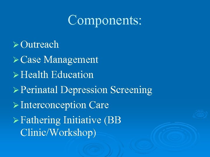 Components: Ø Outreach Ø Case Management Ø Health Education Ø Perinatal Depression Screening Ø