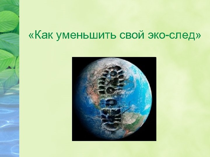  «Как уменьшить свой эко-след» 